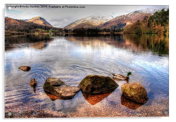 Ducks on Grasmere Acrylic by Andy Huntley