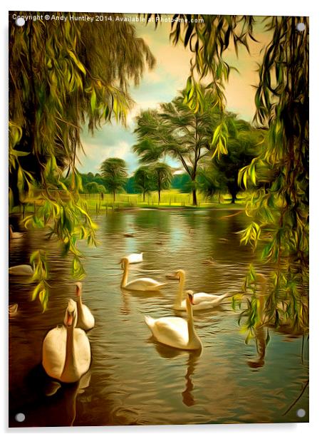  Swan Lake Acrylic by Andy Huntley