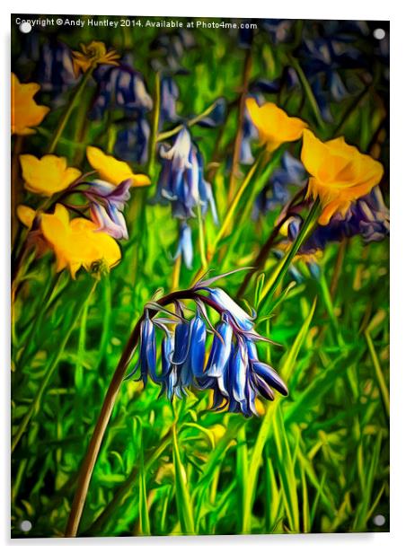  Bluebells and Buttercups Acrylic by Andy Huntley