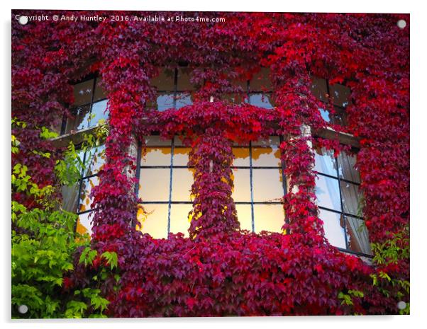 Ivy Window Acrylic by Andy Huntley
