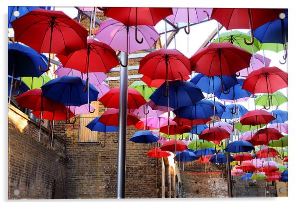 Umbrella Shade Acrylic by Carolyn Eaton