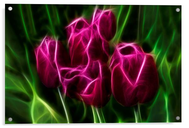 Tulips Acrylic by Alan Tunnicliffe