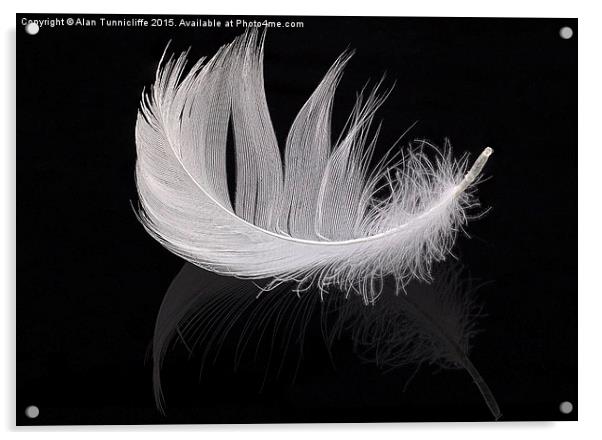  White feather Acrylic by Alan Tunnicliffe