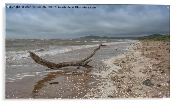 Driftwood on a deserted beach Acrylic by Alan Tunnicliffe