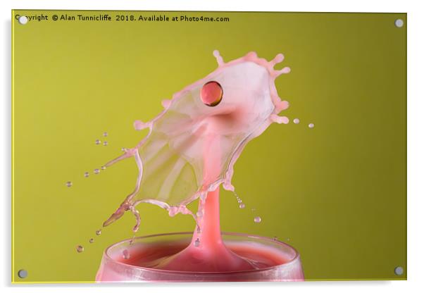 Milk splash Acrylic by Alan Tunnicliffe