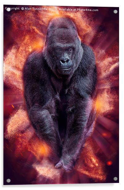Silverback gorilla Acrylic by Alan Tunnicliffe