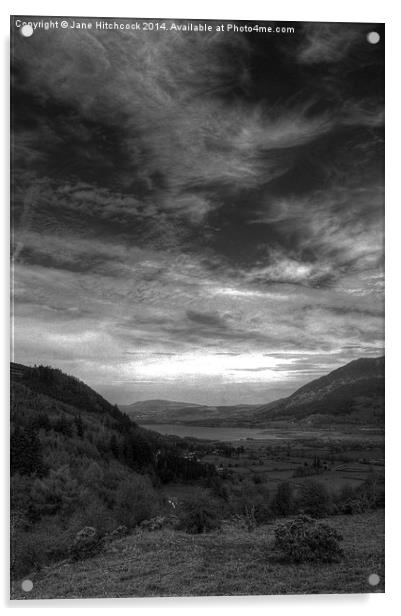 View from the Whinlatter Pass Acrylic by Jane Hitchcock