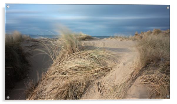 Sand Dunes and Salty Air Acrylic by Rich Berry
