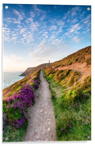 Summer on the Cornish Coast Acrylic by Helen Hotson