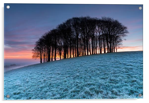 Winter Sunrise Acrylic by Helen Hotson