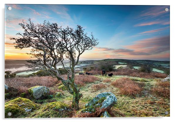 Frosty Sunrise at HelmanTor Acrylic by Helen Hotson