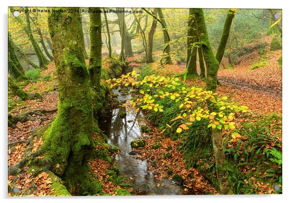 Woodland Stream Acrylic by Helen Hotson