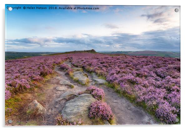 Peak District Heather Acrylic by Helen Hotson