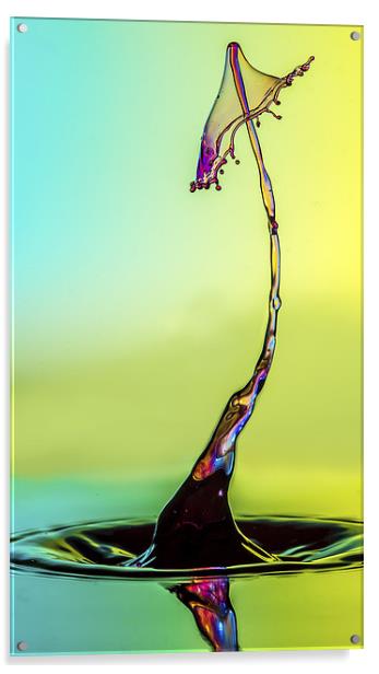 water drop Acrylic by Olavs Silis