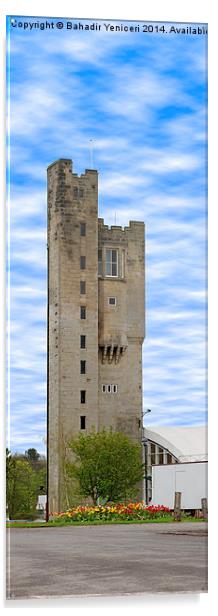 Haggerston Castle Acrylic by Bahadir Yeniceri