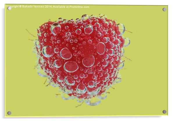 Raspberry  Acrylic by Bahadir Yeniceri