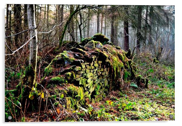 Old Wall in the Woods Acrylic by Kelvin Brownsword