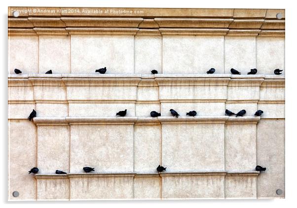 Pigeon post Acrylic by Andreas Klatt