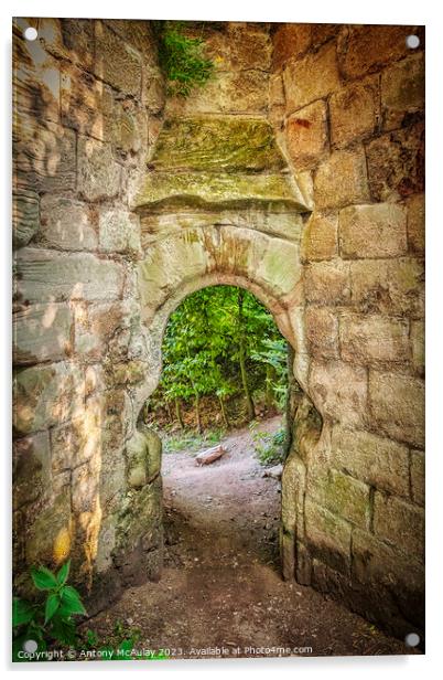 Rosslyn Castle Forest Entry Acrylic by Antony McAulay
