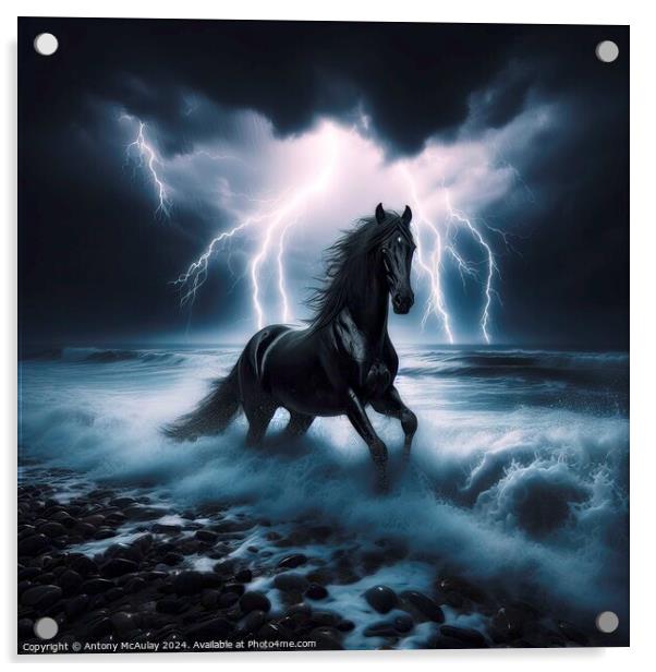 Black Stallion in a Storm Acrylic by Antony McAulay