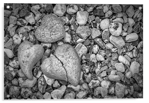Hearts of Stone Acrylic by Antony McAulay