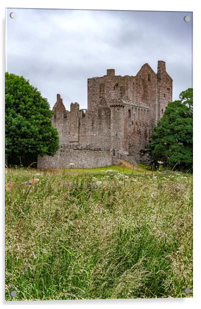 Craigmillar Castle Ruins Acrylic by Antony McAulay