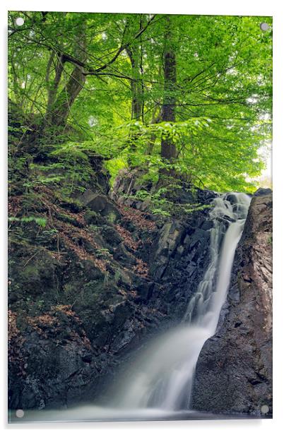 Forsakar Waterfall in Skane Acrylic by Antony McAulay