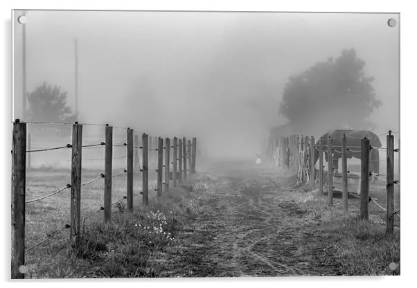 Foggy Morning Country Lane Acrylic by Antony McAulay