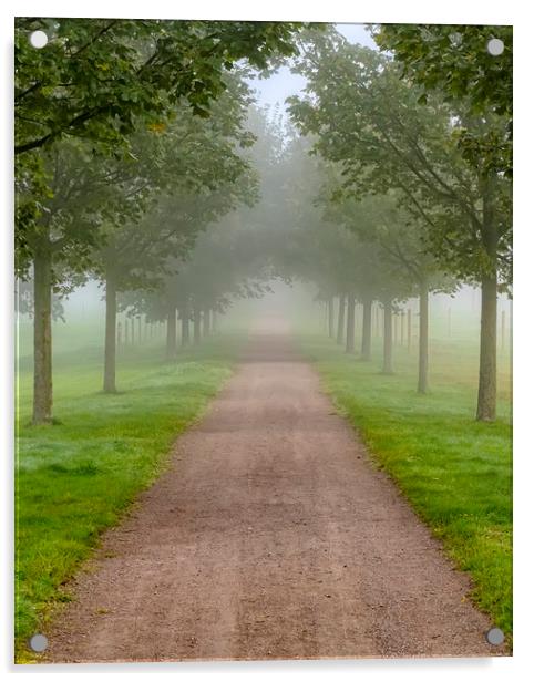 Foggy Morning Country Tree Line Path Acrylic by Antony McAulay