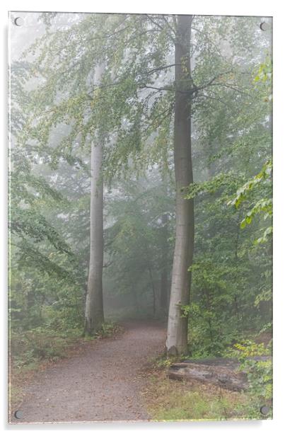 Foggy Morning Woodlands Path Acrylic by Antony McAulay