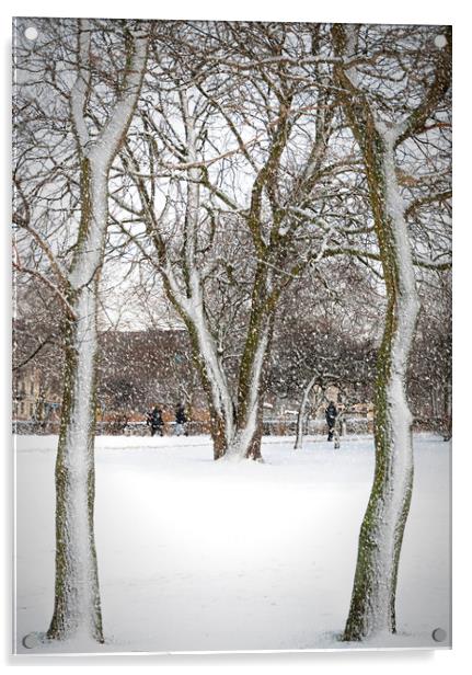 Helsingborg Stadsparken in Winter Acrylic by Antony McAulay