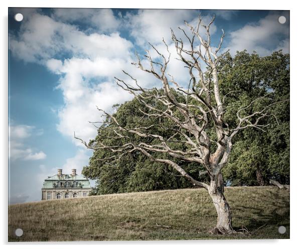 Dyrehaven Hermitage Palace And The Dead Tree Acrylic by Antony McAulay