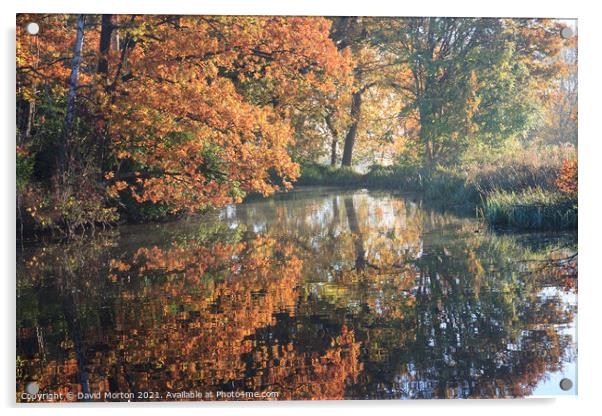 Autumn Reflections Acrylic by David Morton