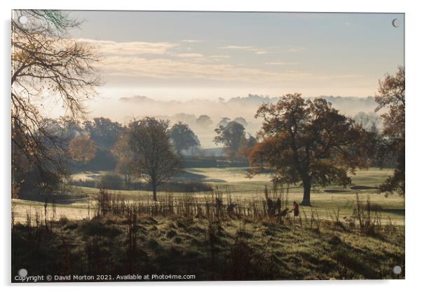 Autumn Mist on Tarporley Golf Course Acrylic by David Morton