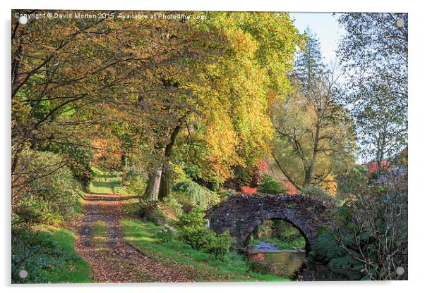  Autumn at Castle Hill Gardens Acrylic by David Morton
