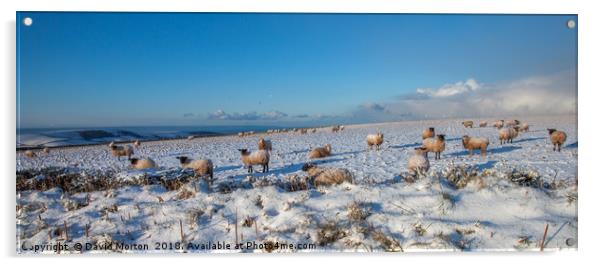 Sheep in the Snow Acrylic by David Morton