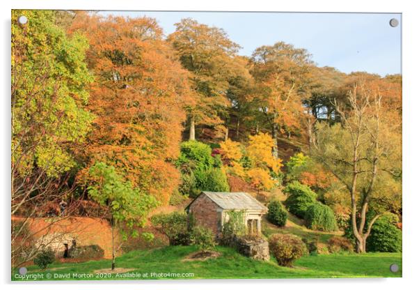 Autumn Colours at Castle Hill Acrylic by David Morton