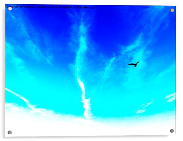 Bird In The Sky- Abstract Photography Acrylic by Vincent J. Newman