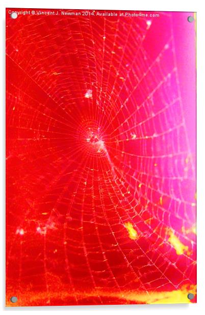 Scarlet Web- Unique Abstract Photgraphy Acrylic by Vincent J. Newman