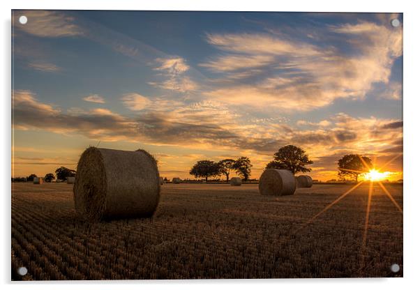  Harvests End Acrylic by Steve Hardiman