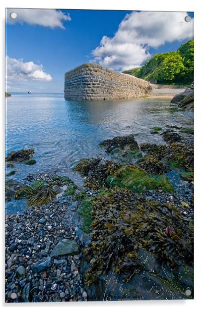 Stackpole Quay Acrylic by Mark Robson