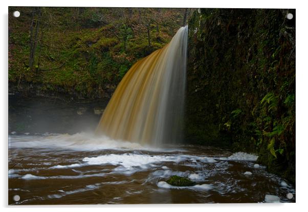 Sgwd Gwladus Falls Acrylic by Mark Robson