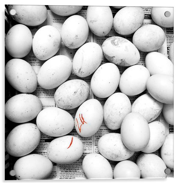 Duck eggs Acrylic by richard pereira