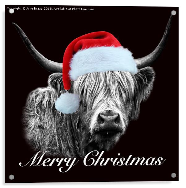 Festive Highland Cow - A Christmas Portrait Acrylic by Jane Braat
