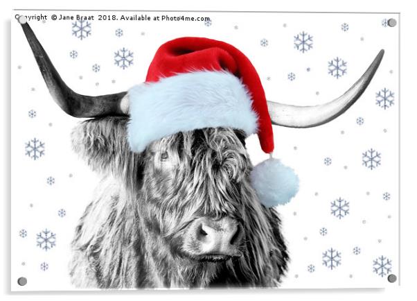 The Festive Scottish Cow Acrylic by Jane Braat