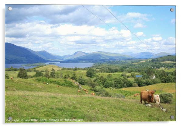 Awe-Inspiring Scottish Highlands Acrylic by Jane Braat