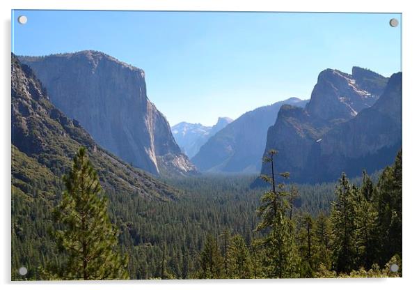 Yosemite valley Acrylic by James Condliffe