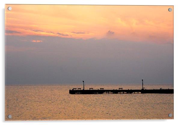 Floating Jetty, Marsa Alam Acrylic by Jacqueline Burrell