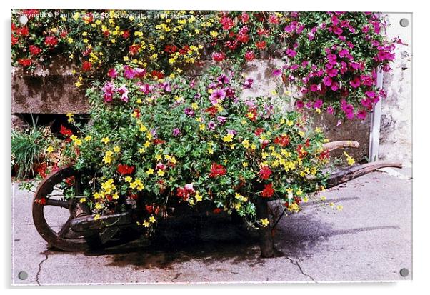 Wheelbarrow of Flowers Acrylic by Paul Williams
