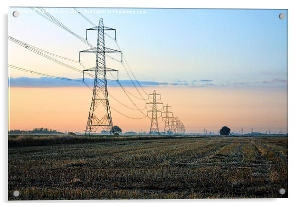 Pylons at Dawn Acrylic by Paul Williams